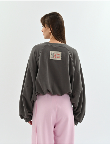 Картинка Світшот Reglan попіл, One size