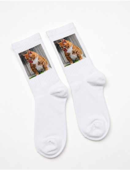 Картинка Чоловічі білі шкарпетки з принтом